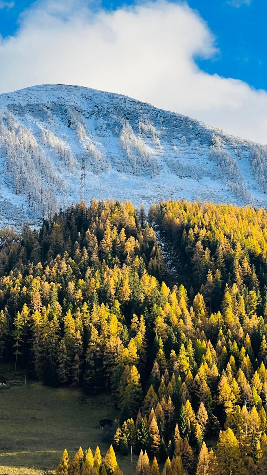 Berglodge Goms Мюнстер Екстер'єр фото